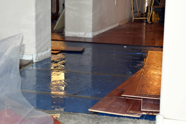 Professional Flood Damage Repair technician working in Forest Hills, MI